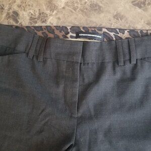 EXPRESS DESIGN STUDIO Brown Editor Dress Pant 8